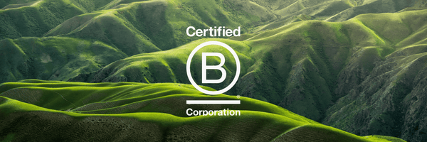 Step-by-Step Guide to Become a B Corporation - Pylos59